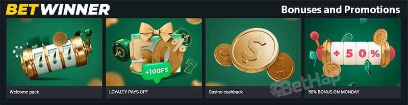 Everything You Need to Know About BetWinner Everything You Need to Know About BetWinner
